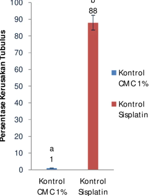 Gambar  1.  Perbandingan  persentase  kerusakan  tubulus  ginjal  tikus  yang  diberi  CMC  1%  selama  10  hari  (kontrol  CMC  1%)  secara  oral  dan  sisplatin  5mg/kgBB  secara  i.p  dosis  tunggal  dan  dibiarkan  selama  5  hari  (kontrol sisplatin)