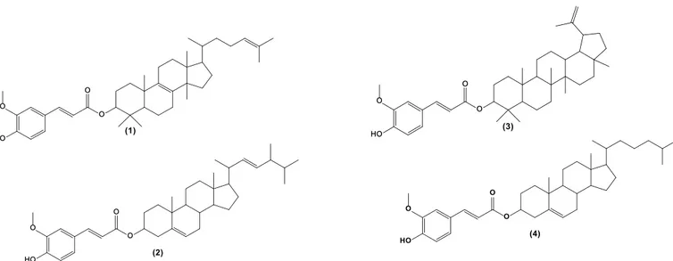 Gambar 1. Struktur dua dimensi turunan orizanol. (1) Lanosteryl-ferulate, (2) Brassicasteryl-ferulate, (3) Lupeol-ferulate, dan (4) 