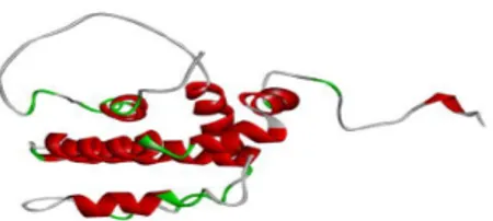 Gambar 1. Struktur Protein Bcl-xL (Oltersdorf dkk., 2005) 