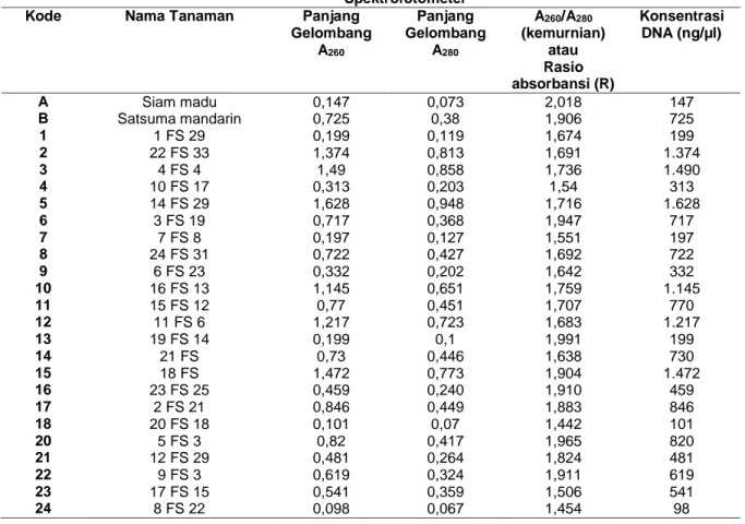 Tabel 1. Hasil Uji Kuantitas DNA Tanaman Hasil Fusi Protoplas (G0) dan Kedua Parentalnya dengan  Spektrofotometer 