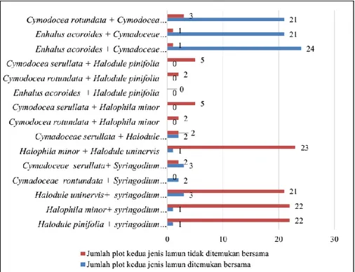 Gambar 2. Pola asosiasi jenis lamun dengan tingkat kehadiran tiap  pasangan asosiasi pada plot pengamatan