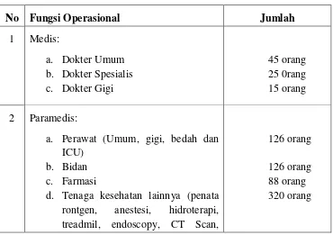 Tabel SDM RSUD. Dr. M. Yunus Bengkulu Tahun 2013 