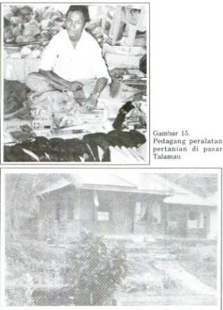 Gambar 16. Rumah penduduk kelas menengah di Talamau 