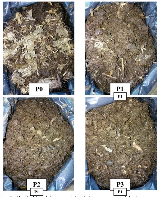 Gambar  6.  Hasil  akhir  dekomposisi  tumbuhan  eceng  gondok  dengan  perlakuan  penambahan vermi kompos 10% (P1), kotoran sapi 10% (P2), vermi  kompos  5%  +  kotoran  sapi  5%  (P3)  dan  kontrol  tanpa  perlakuan  (P0)
