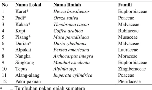 Tabel  2.  Jenis  tumbuhan  yang  berada  di  jalur  gajah  sumatera  masuk  ke  lahan  pertanian masyarakat Dusun Kuyung Arang dan Talang Sunda, Semaka, Tanggamus.
