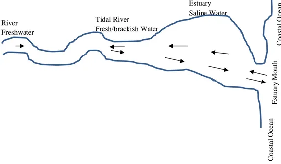 Gambar  2.1  memberikan  ilustrasi  mengenai  sistem  estuari  yang  umumnya panjang dan sempit, meniru seperti sebuah saluran
