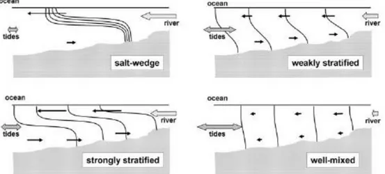 Gambar  2.3.  Klasifikasi  Estuari  Berdasarkan  Struktur  Vertikal  Salinitas  (Valle- (Valle-Levinson, 2010) 
