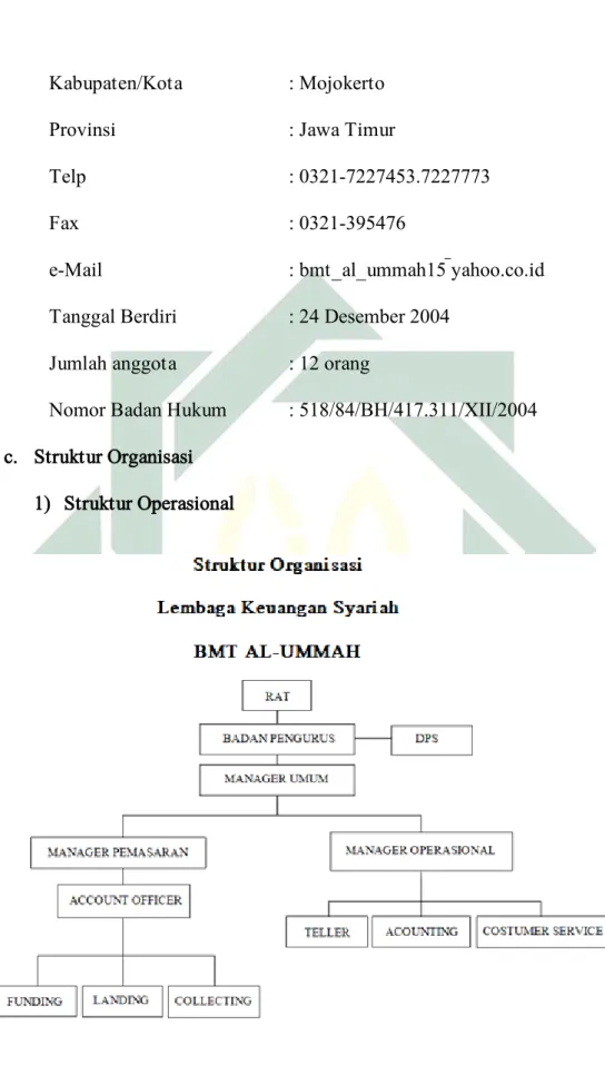 Gambar 3.1. Struktur Organisasi BMT AL-UMMAH 