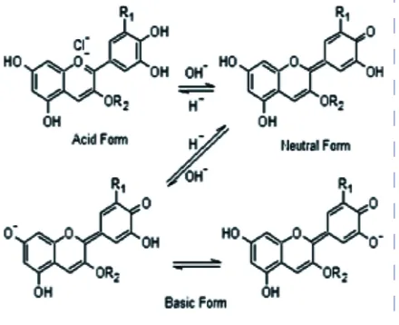 Gambar 1. Perubahan Molekul Antosianin menjada asam-basa konjugatnya
