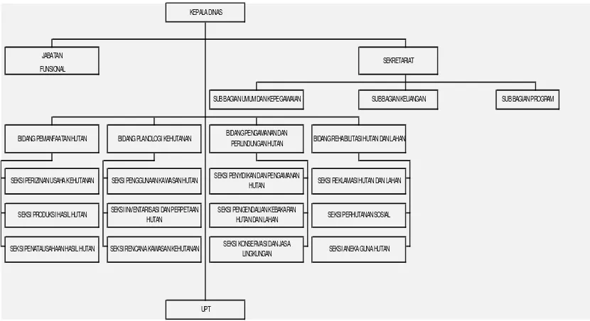 Gambar 1. Struktur Organisasi Dinas Kehutanan Provinsi Sumatera Barat