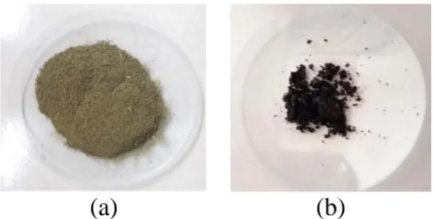 Gambar 1. Serbuk Daun Salam (a) dan Ekstrak kering daun salam (b)  Kadar  air  dari  ekstrak  kering  daun  salam 