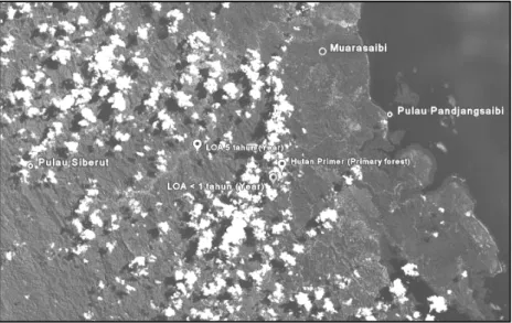 Gambar 1. Lokasi penelitian di IUPHHK Koperasi Andalas Madani (Google, 2008). 