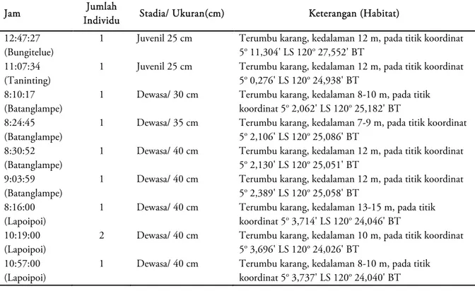 Tabel 2. Catatan hasil pengamatan ikan napoleon pada sensus visual (SVC) di perairan sekitar Bungitelue,  Bungitelue, Batanglampe, Lapoipoi Sinjai – Sulawesi Selatan