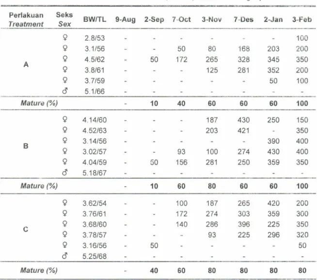 Table  2.  Precent gonadal  maturation  and  diameter  oocyte  of  napoleon  fish  durung  experiment