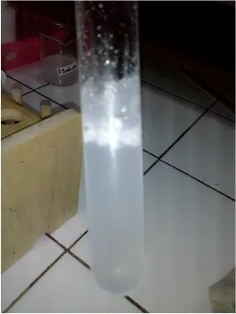 Gambar 1. Hasil uji pembuatan garam (CaCl                            2)                Gambar 2