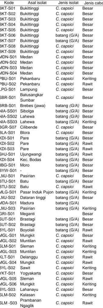 Tabel 2  Isolat  Colletotrichum  hasil  ekplorasi  di  Sumatera,  Jawa, dan Papua (lanjutan) 