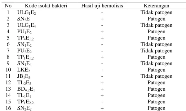 Gambar 2: Aktivitas hemolisis bakteri endofit; A. Hemolisis - = Tidak patogen, B. Hemolisis + = patogen