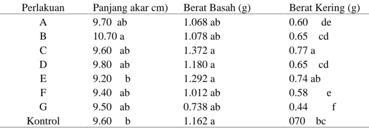 Tabel  6 :  Panjang  akar,  berat  basah  dan  berat  kering  bibit  cabai  yang  diintroduksi dengan konsorsium bakteri endofit (30 hss)
