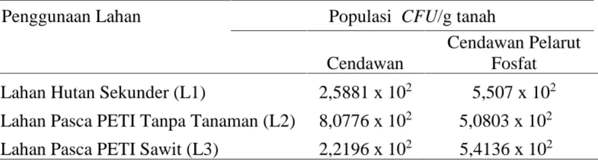 Tabel 5. Rata-rata Populasi Cendawan dan Cendawan Pelarut Fosfat (CPF) dengan Media Pikovskaya Ca 3 (PO 4 ) 2 .