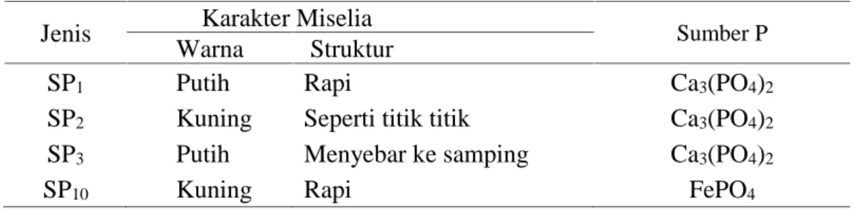Tabel 7. menunjukkan jenis serta karakter cendawan yang mampu melarutkan fosfat ikatan Ca 3 (PO 4 ) 2 dan FePO 4