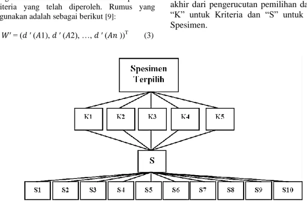 Gambar 1. Struktur hirarki spesimen terpilih     (1)  