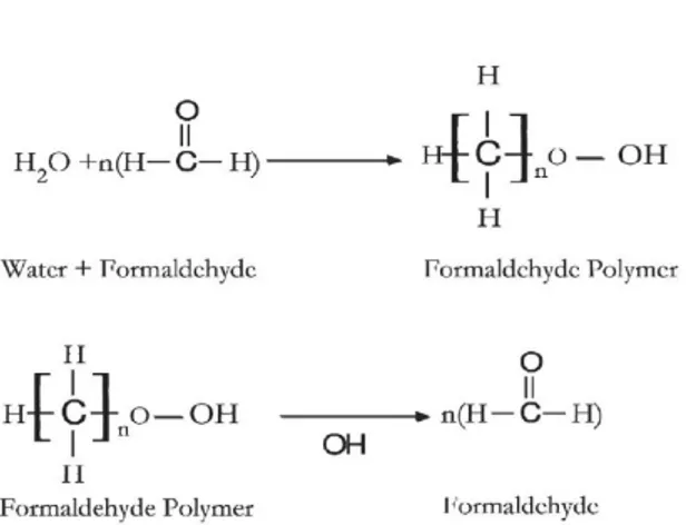 Gambar 1. Reaksi formalin dengan protein  (Thavarajah, et al., 2012). 