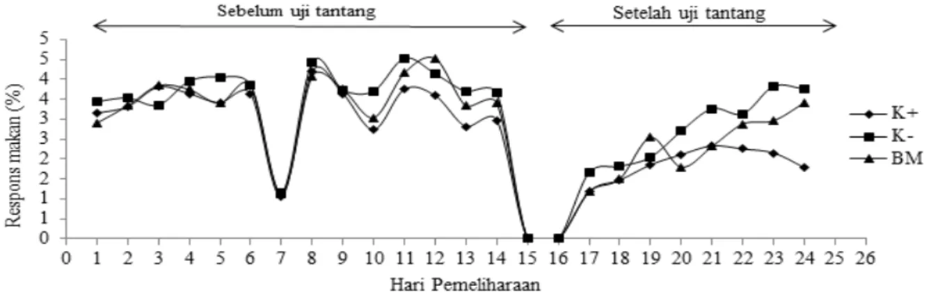 Gambar 2. Respons makan ikan nila selama penelitian. K+: kontrol positif; K-: kontrol negatif; BM: bawang putih- putih-meniran.
