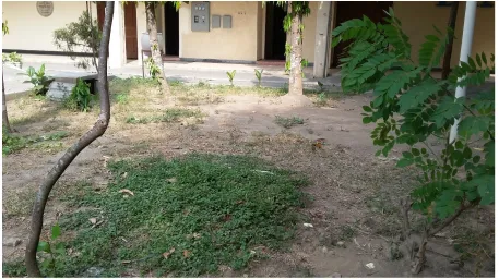 Gambar 19. Lokasi pengamatan