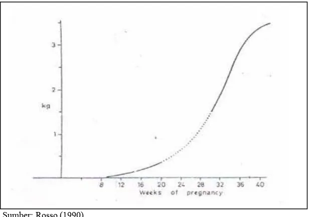 Gambar 2.2  Pertambahan berat janin selama kehamilan (Rosso, 1990) 