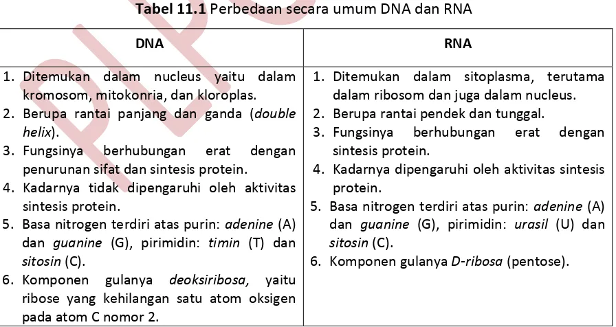Tabel 11.1 Perbedaan secara umum DNA dan RNA 