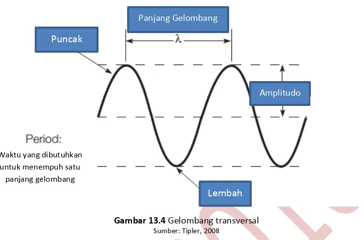 Gambar 13.4 Gelombang transversal 