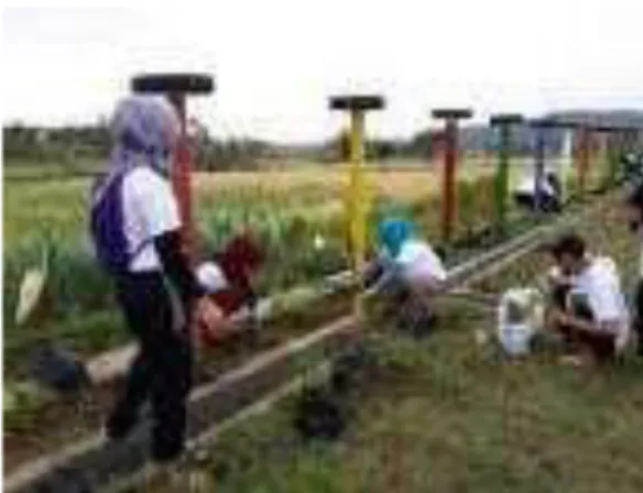 Gambar 2 Kegiatan penanaman tanaman dengan sistem refugia di kawasan agrowisata  desa  Jalaksana 