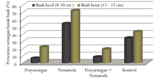 Gambar 4. Persentasi serangan busuk buah kakao setelah perlakuan Heterorhabditis sp. dan penyarungan buah  Figure 4