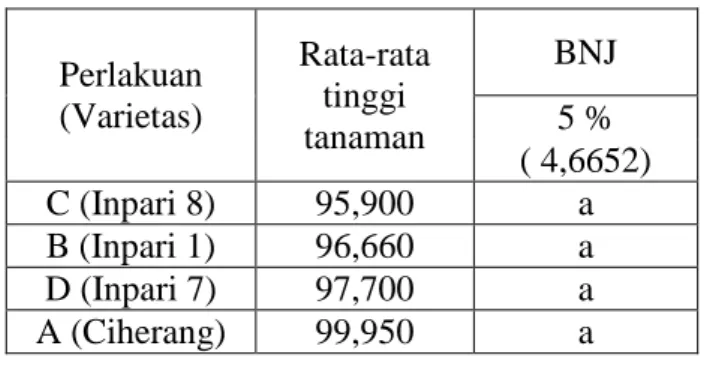 Tabel 2.  Rata-rata tinggi tanaman (cm) pada  beberapa perlakuan varietas 