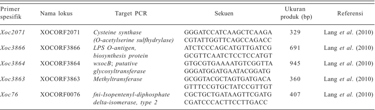 Tabel 2.  Primer-primer spesifik untuk mendeteksi Xanthomonas oryzae pv. oryzicola.