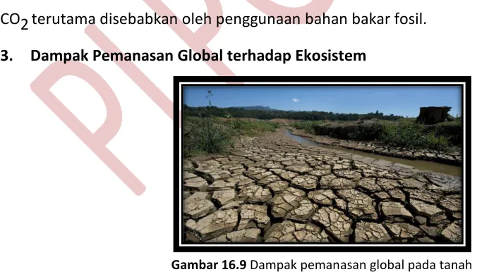 Gambar 16.9 Dampak pemanasan global pada tanah 