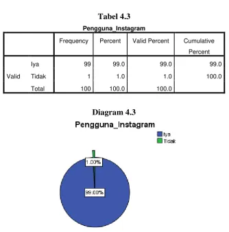 Tabel 4.3 Pengguna_Instagram 