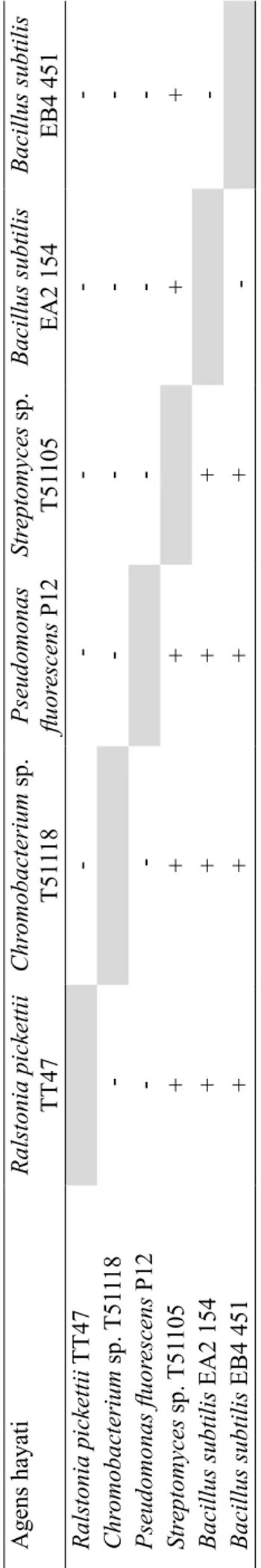 Tabel 4 Reaksi isolat agens hayati pada uji kompatibilitas Agens hayatiRalstonia pickettii TT47Chromobacterium sp