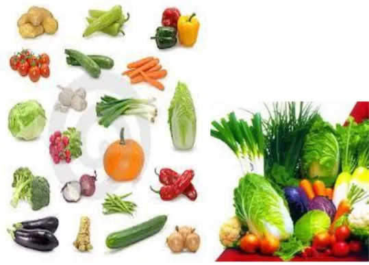 Gambar 11.  Macam - macam Sayuran  