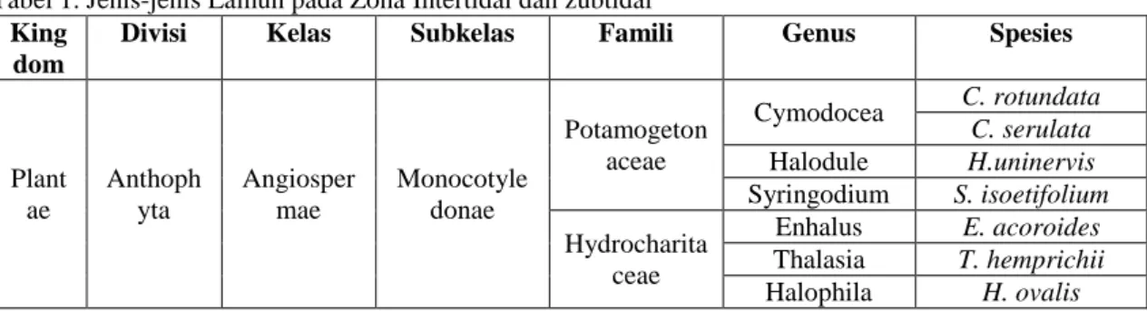 Tabel 1. Jenis-jenis Lamun pada Zona Intertidal dan zubtidal 