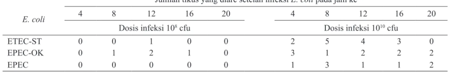 Tabel 2.  Jumlah tikus yang diare setelah diinfeksi dengan 10 8  dan 10 10 CFU  E. Coli