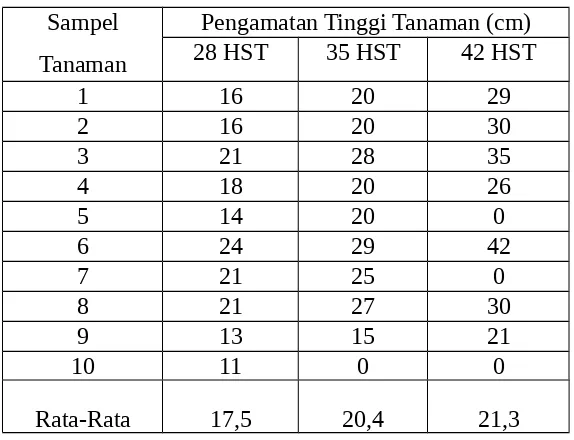 Tabel 3. Tinggi Tanaman Kedelai Varietas Tanggamus Kelas Z