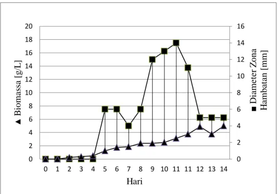 Gambar  5.    Hubungan  antara  berat  biomassa  isolat  WGKP  dengan  diameter  zona  hambatan berdasarkan metode fermentasi cair