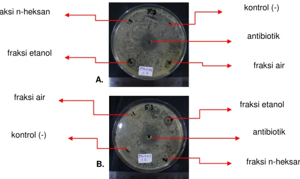 Gambar 6. Hasil pengujian aktivitas anti bakteri fraksi ekstrak PTWSA 1.2 terhadap  bakteri S