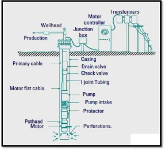 Gambar 2 Peralatan ESP (Sumber: Schlumberger) 