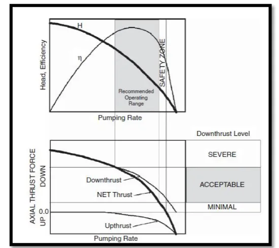 Gambar 5 Pump performance curve (Takacs, 1993) 