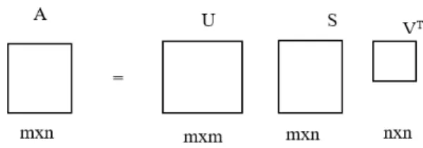 Gambar 1. Filter trees DT-CWT