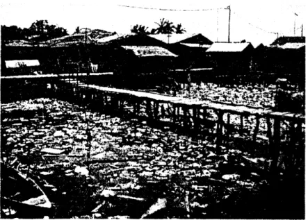 Gambar  2.  Kondisi  Sanitasi  Permukiman  KampungAgas  Tanjung  Uma  sebelah  Selatan  Terdekat