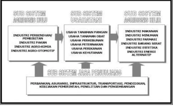Gambar 1.  Ruang Lingkup Keselurahan Sistem Agribisnis (Burhanuddin, 2002) 