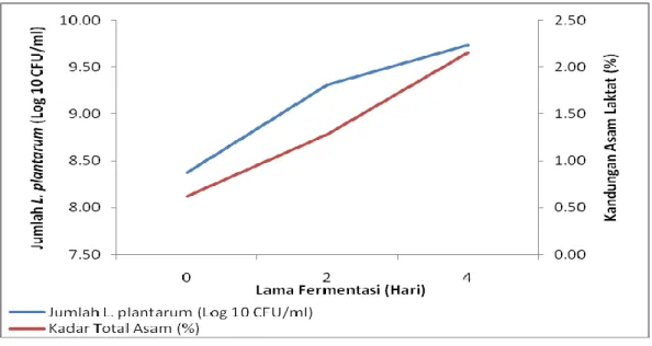 Gambar 5. Hubungan Peningkatan Jumlah L. plantarum Terhadap Peningkatan        Kandungan Asam Laktat 